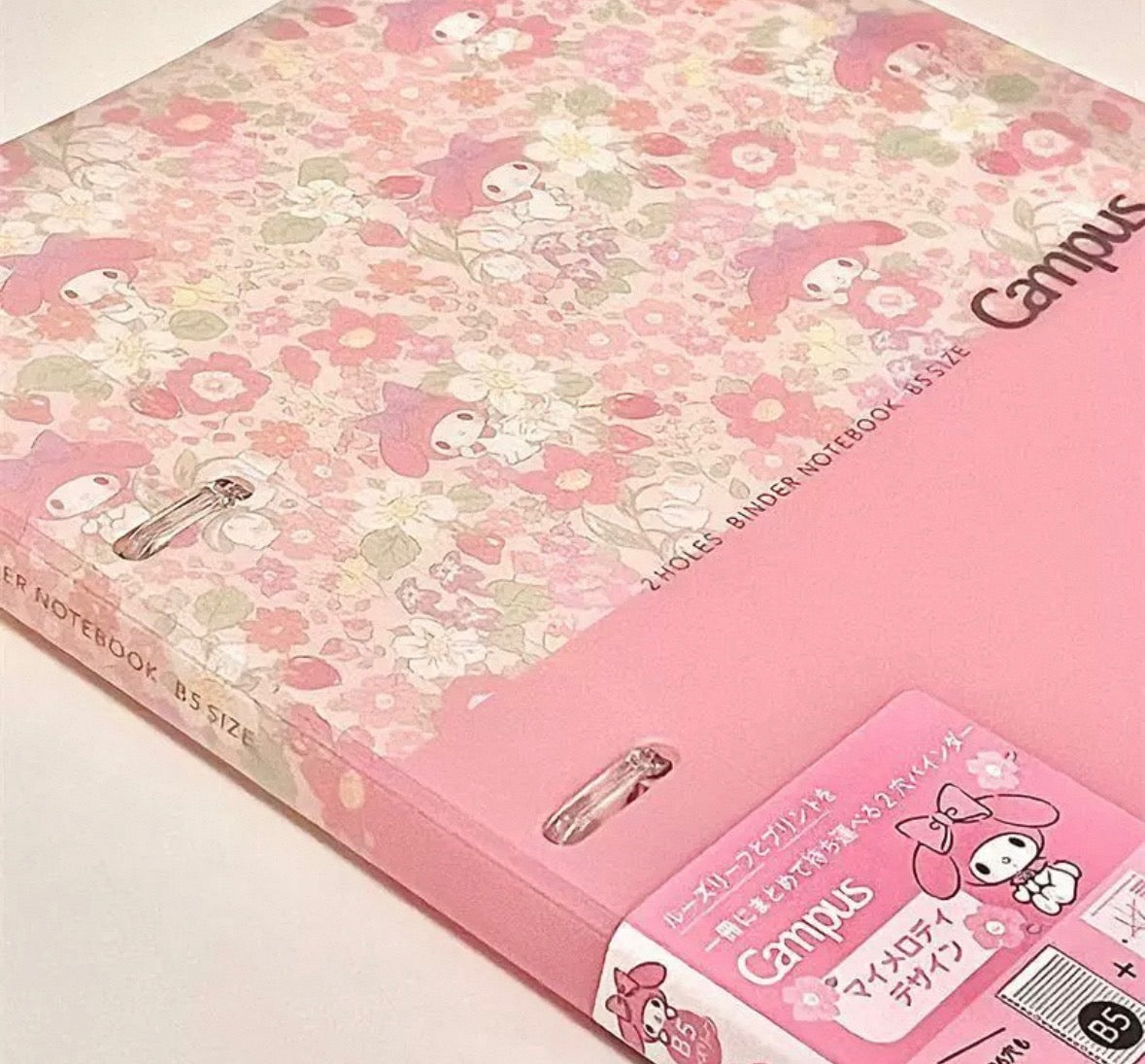Loose-Leaf Campus Sanrio Rare Prints B5 Notebook