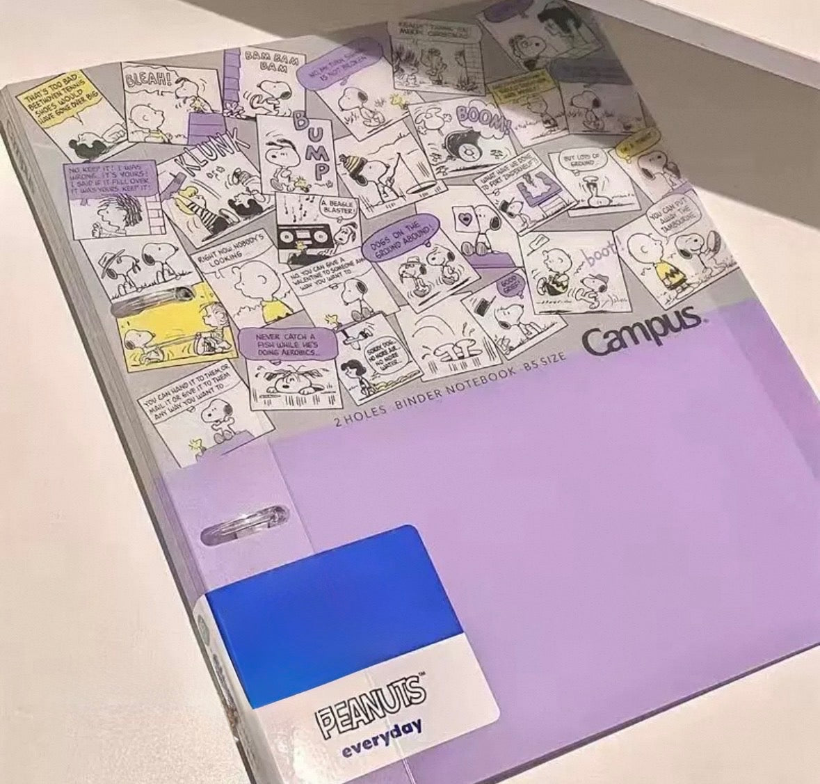 Loose-Leaf Campus Sanrio Rare Prints B5 Notebook