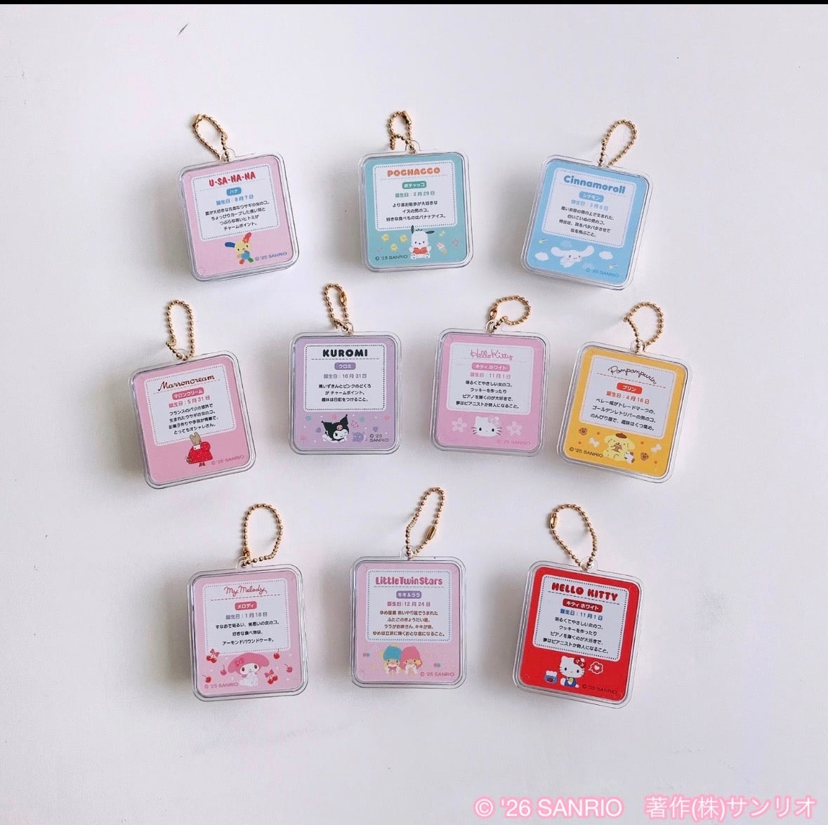 Sanrio Capsule Mini Friend Keychain