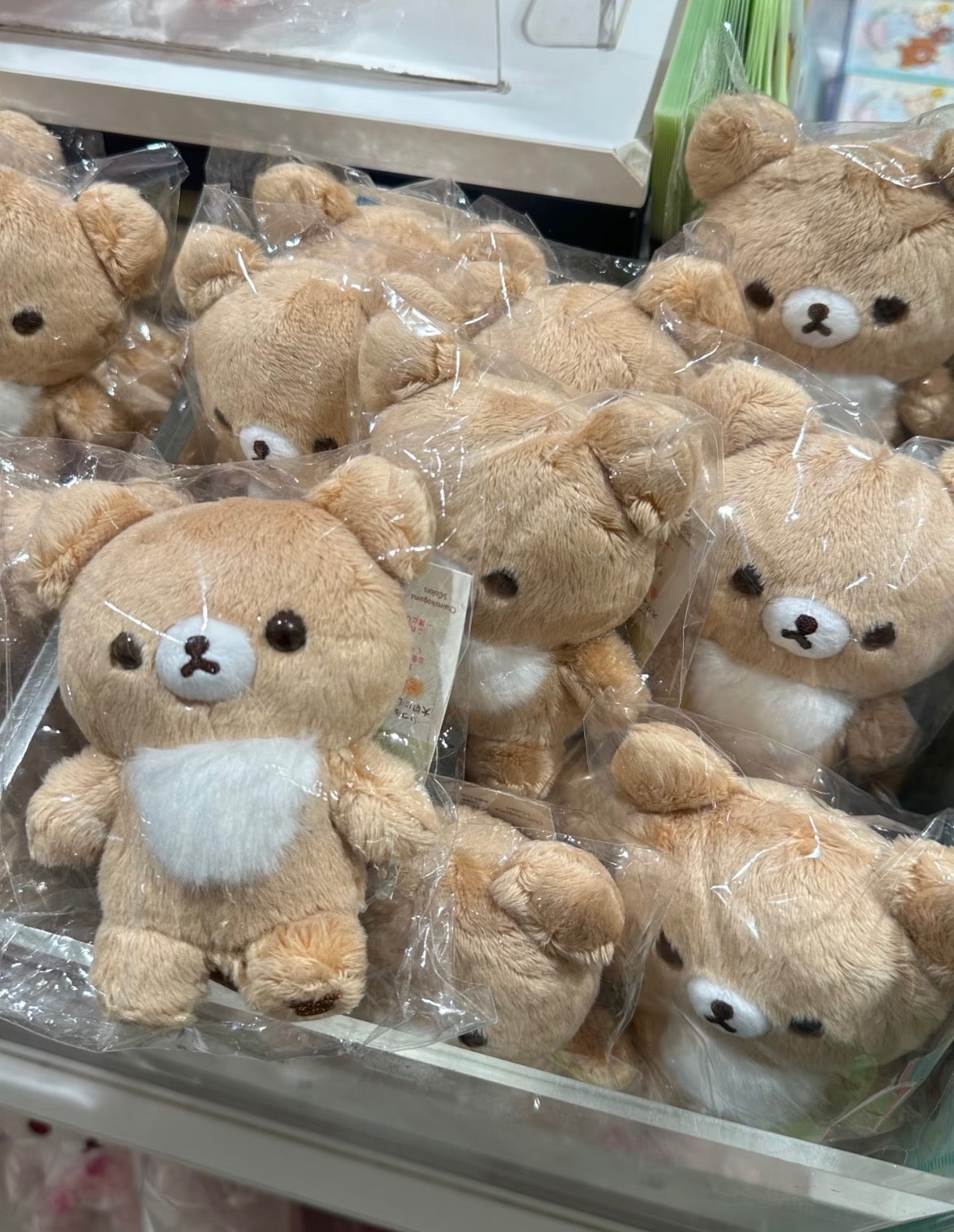 Brown Chairoikoguma 10th Anniversary (San-X, Rilakkuma Series)