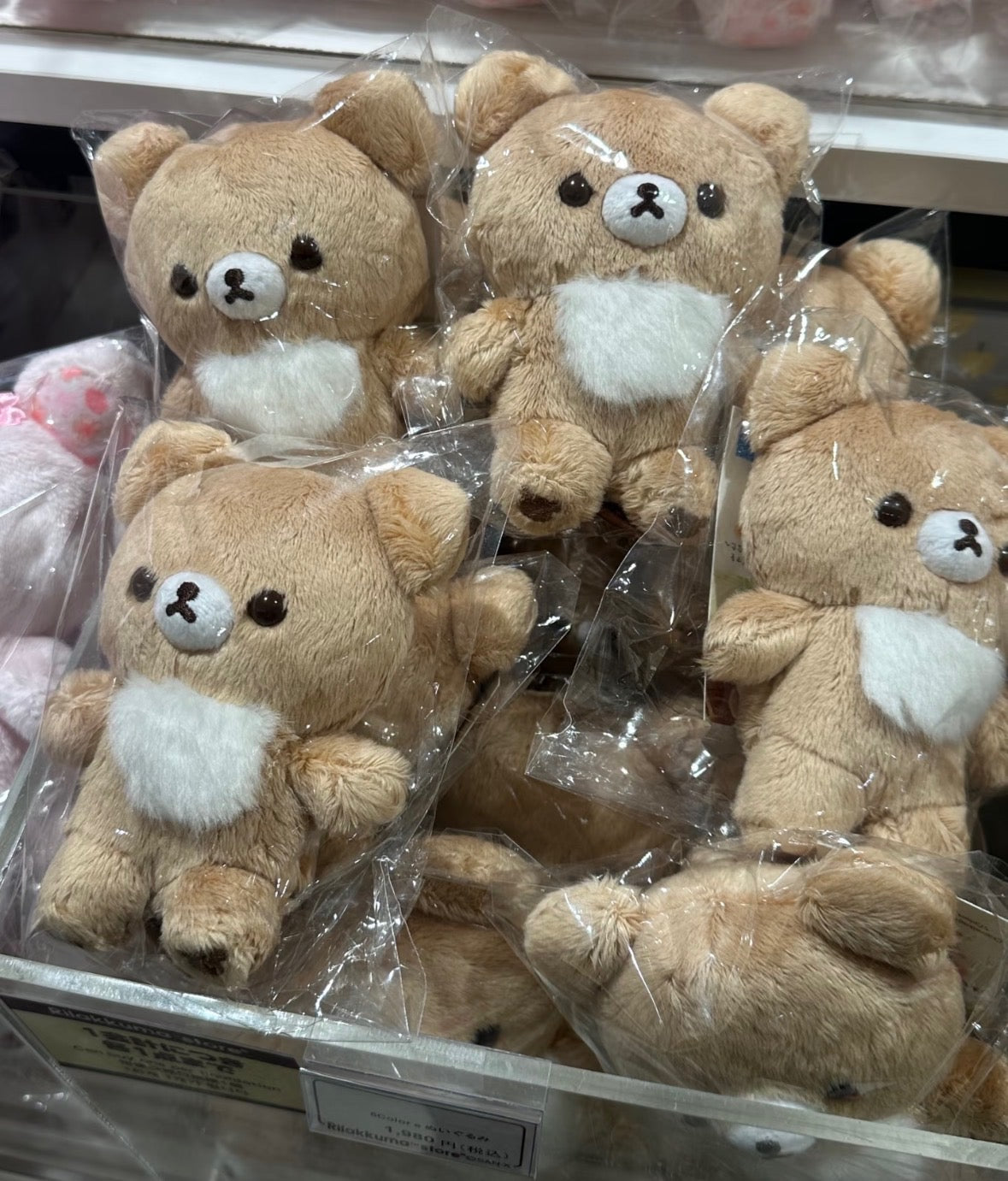 Brown Chairoikoguma 10th Anniversary (San-X, Rilakkuma Series)