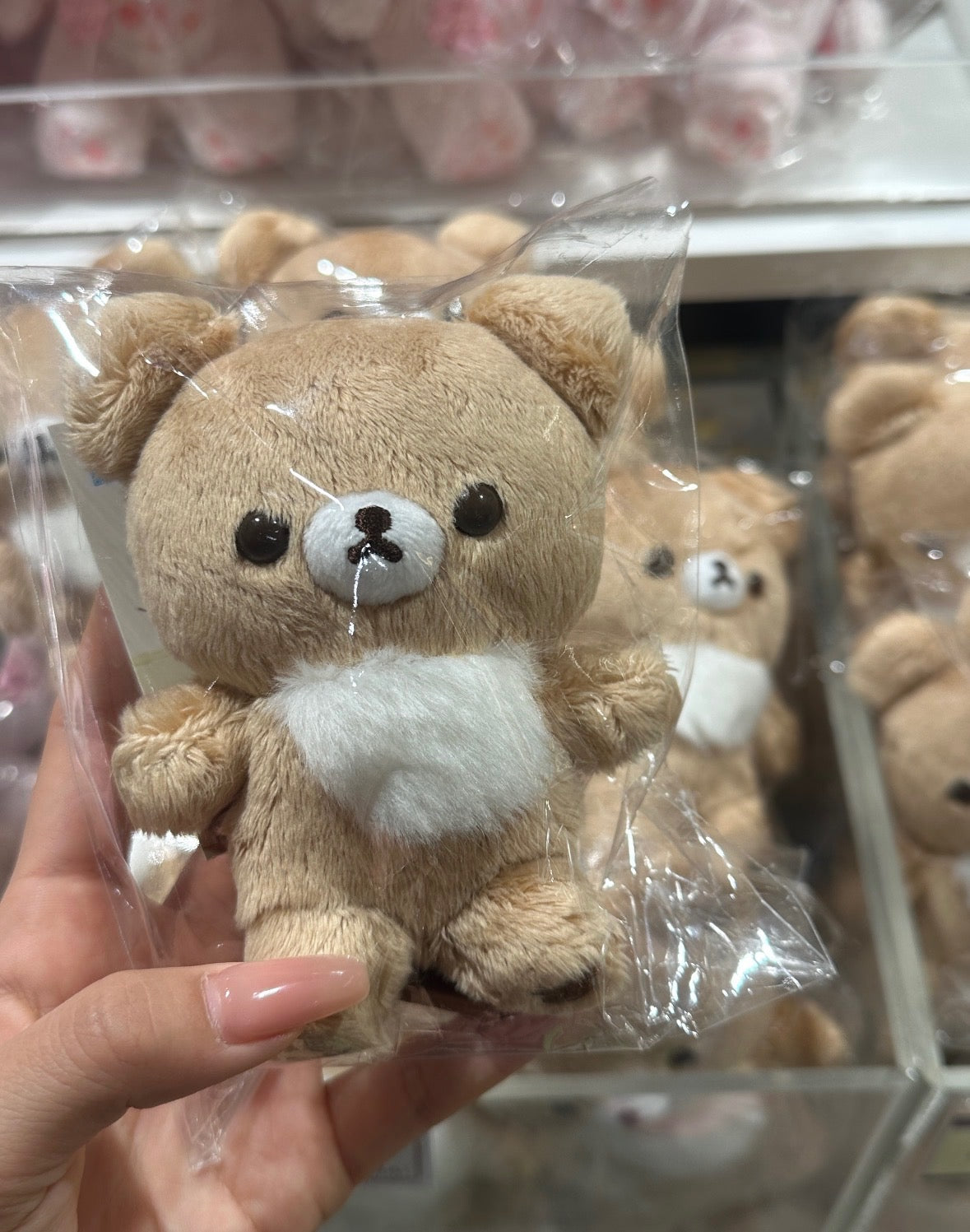 Brown Chairoikoguma 10th Anniversary (San-X, Rilakkuma Series)
