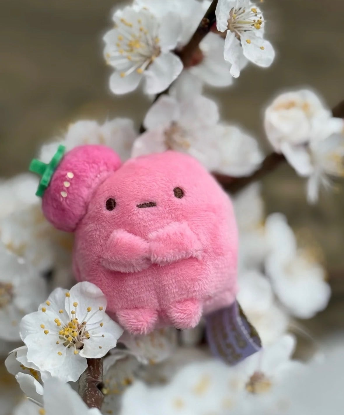San-X Sumikko Gurashi Tapioca Strawberry Tenori Plush