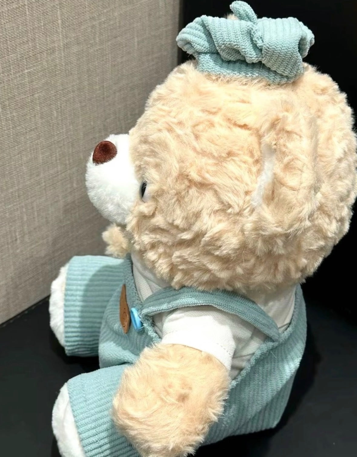 Painter Teddy